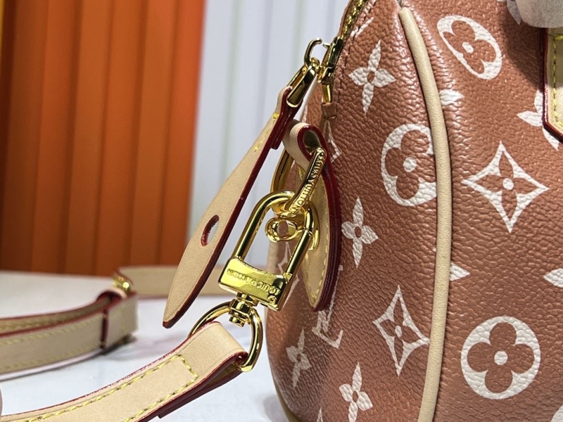 LV Speedy Bags